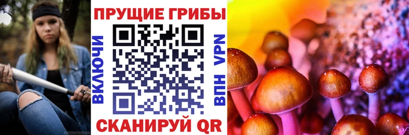 Купить  Большой Камень  Псилоцибиновые грибы прущие грибы 