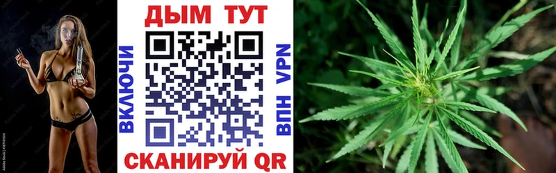 Канабис гибрид  Купить где  Большой Камень 